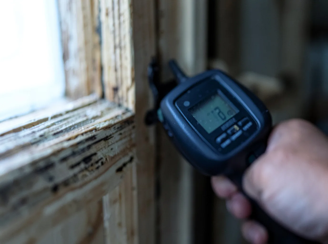Commercial Water Damage Restoration in Freehold, NY